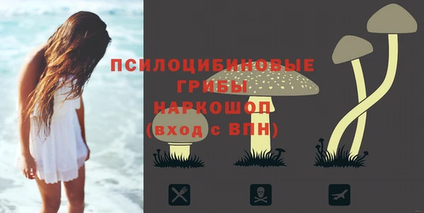 мяу мяу мука Майский